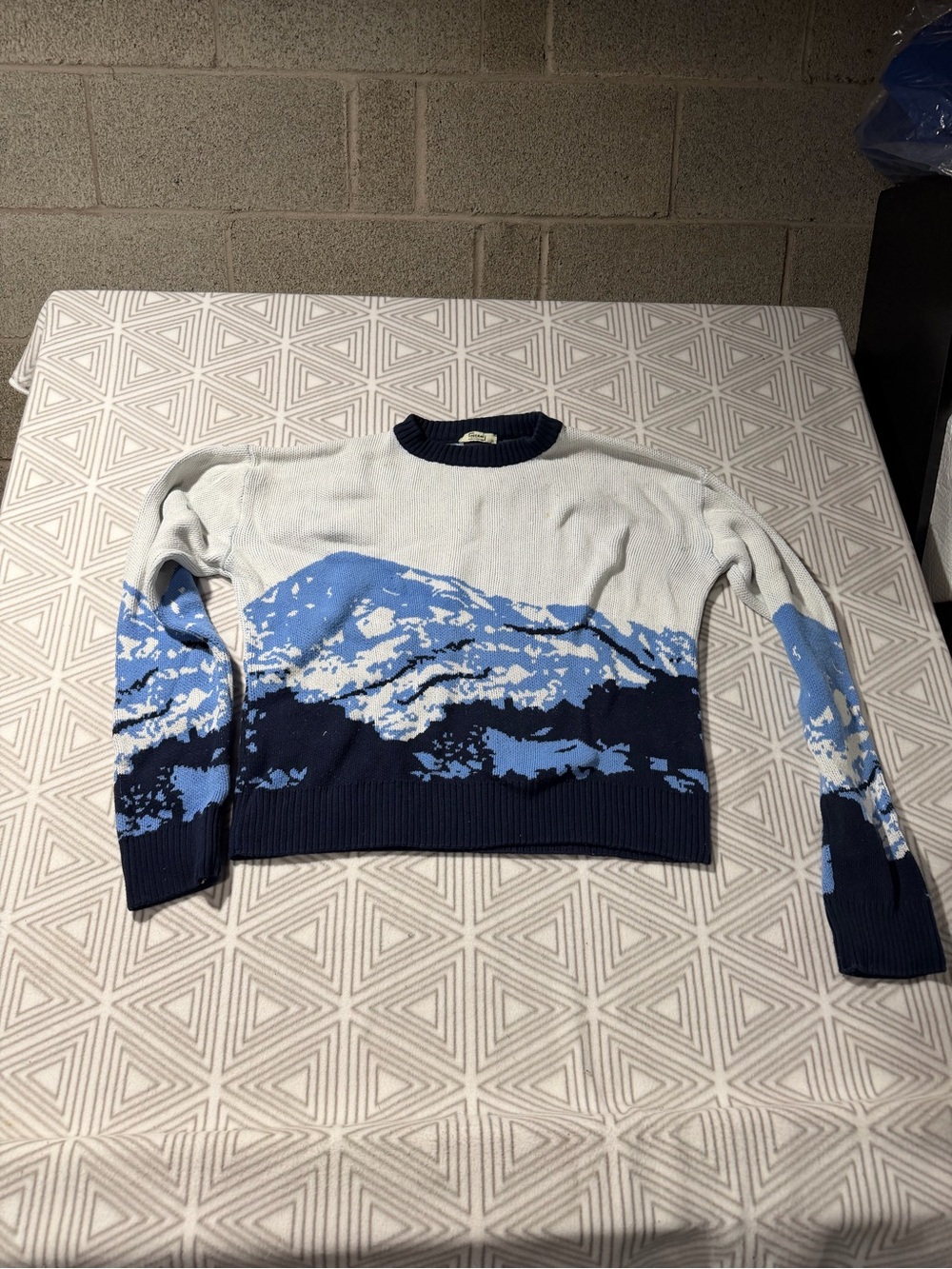 Men's Crewneck Sweater with Blue Mountain Motif
